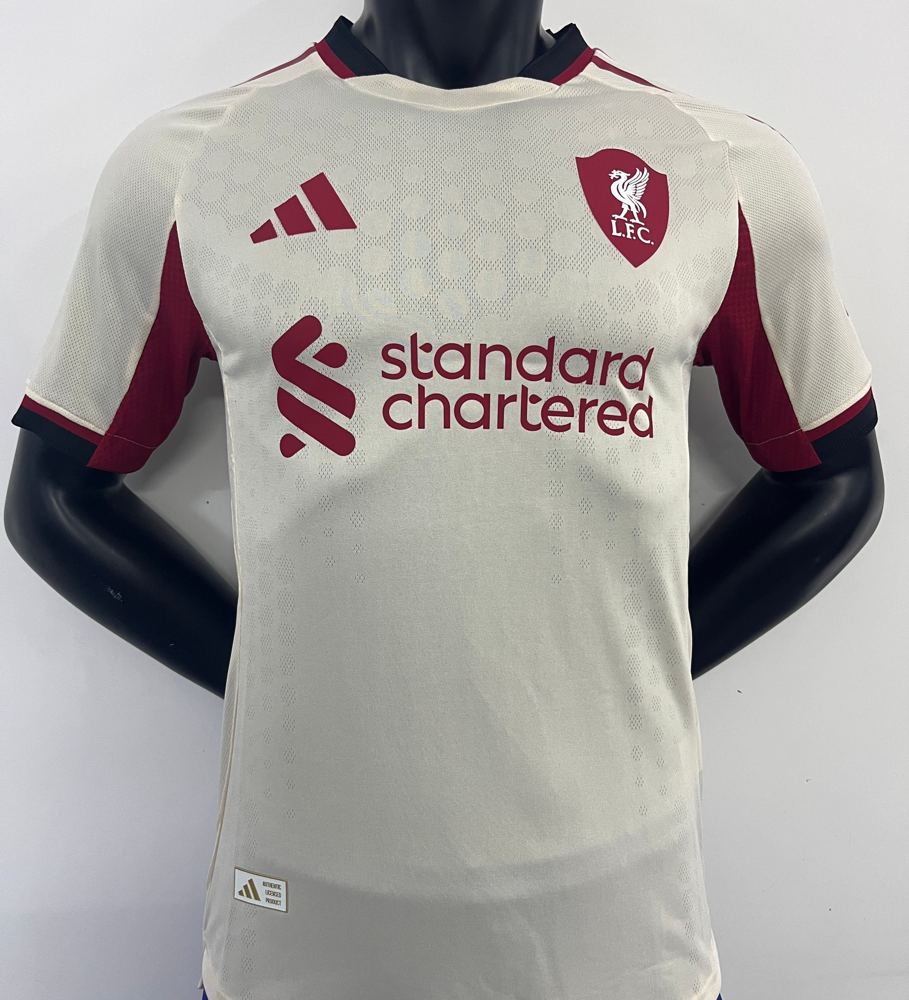 605420ea.jpg